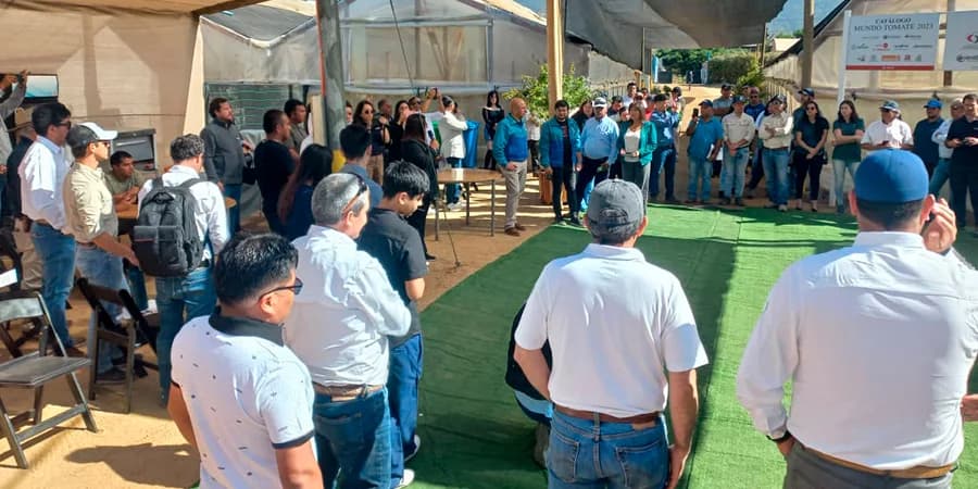 Dercomaq participó en evento agro que reunió todas las variedades de tomates en un solo lugar